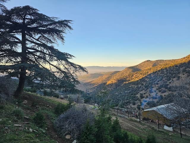 كوخ عمي طيب - Image 2