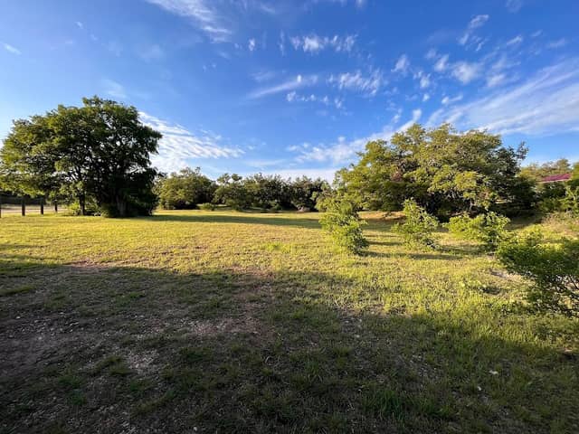 Garey Park Dog Ranch - Image 1
