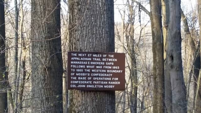 Trumbo Hollow Hike Trailhead - Appalachian Trail - Image 2