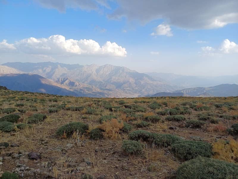 حدايق جومان choman park - Image 2