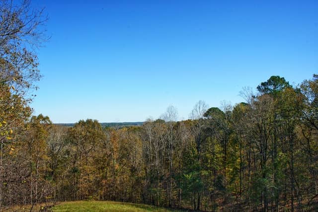 Little Mountain Viewpoint - Image 1