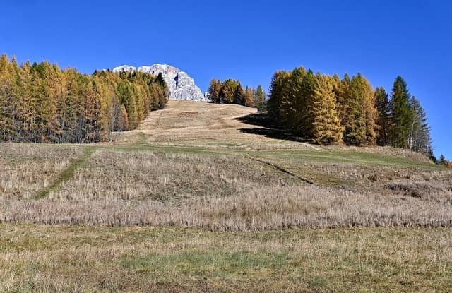 Ale Schuss - Image 1