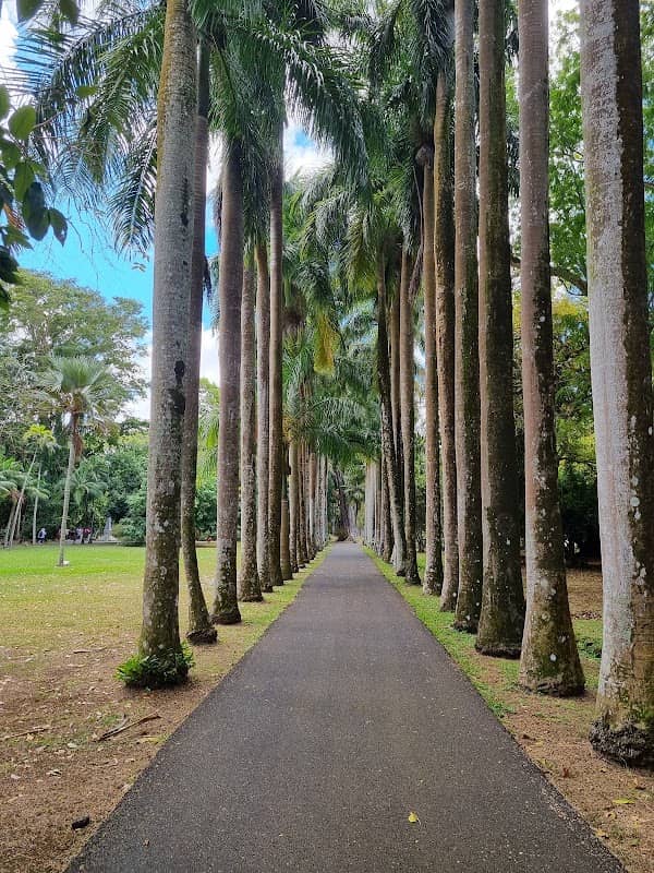 SSR Botanical Garden of Curepipe - Image 3