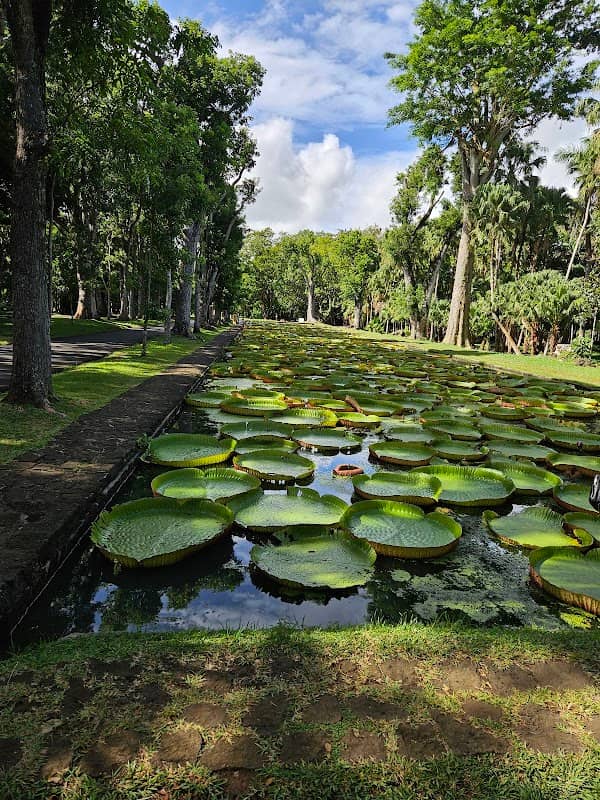 SSR Botanical Garden of Curepipe - Image 1