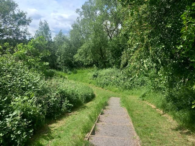 Willowbrook park - Image 2