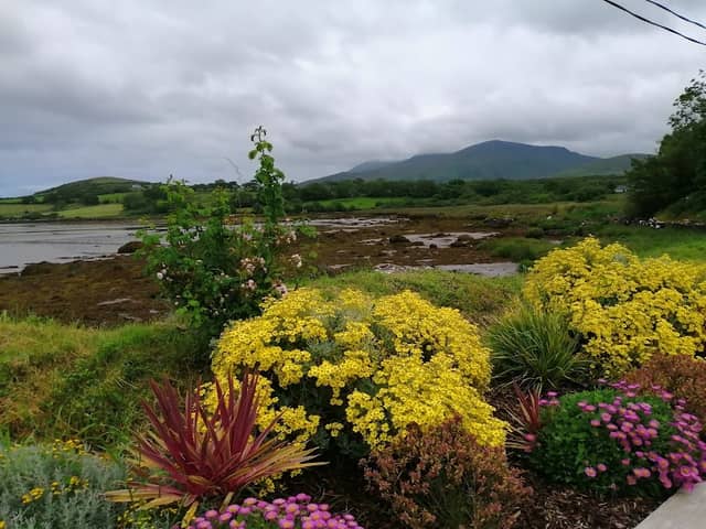 Callaghan's Garden - Image 1