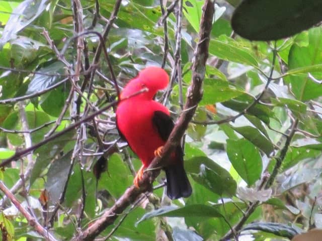 Refugio Paz de Las Aves - Image 3