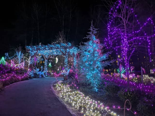 Town Centre Park - Image 2