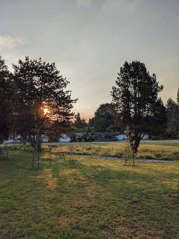 Hazen Hills - Image 2