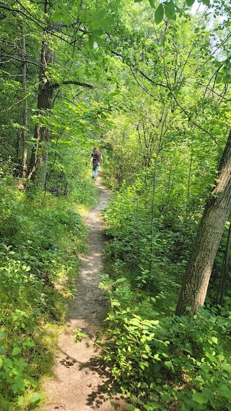 Lois Jensen Nature Preserve - Image 2