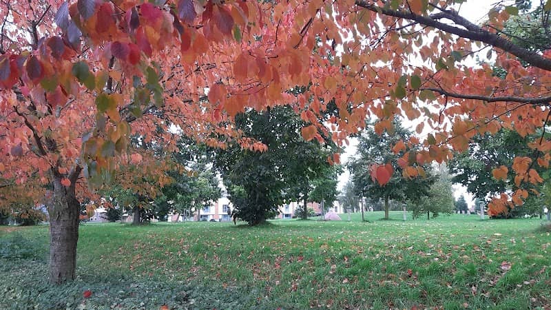 Loeriksepark - Image 2
