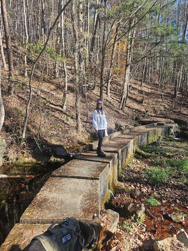 Putnam Springs - Image 1