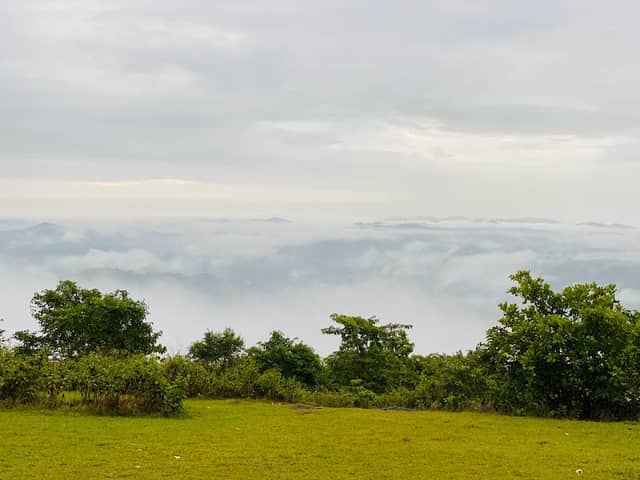 Posadi gumpe - Image 1