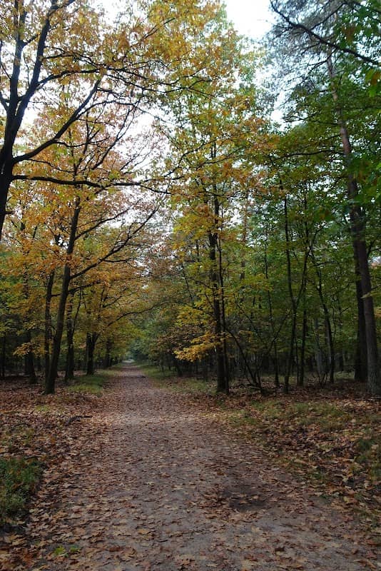 Speurplek - Image 1