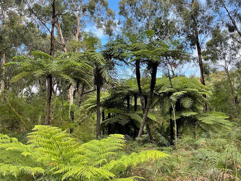 Currawong Falls - Image 1