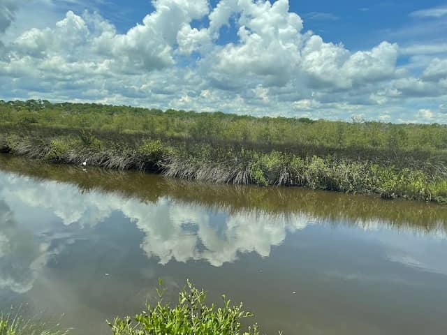 Ormond Scenic Loop & Trail - Image 2