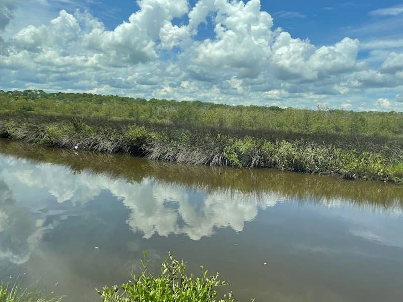 Ormond Scenic Loop & Trail - Image 2