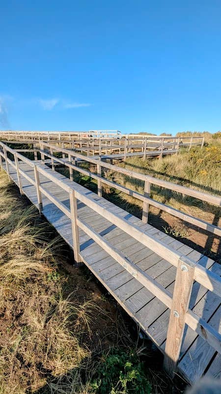 Accessible boardwalk viewpoint - Image 2