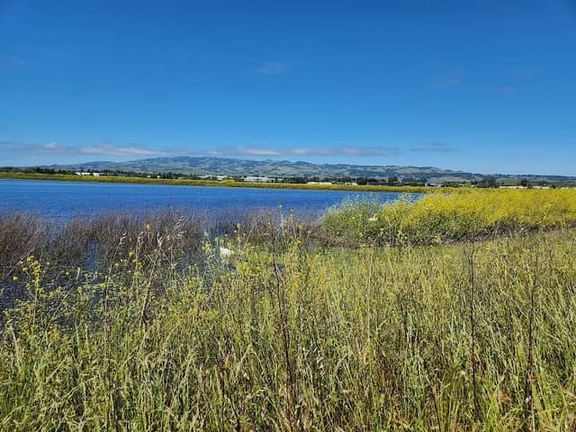 Shollenberger Park - Image 1