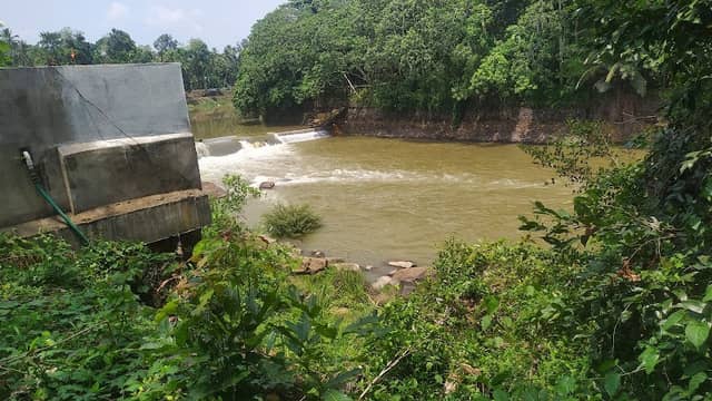 Aattuvanchikkadu Reserve Forest - Image 1