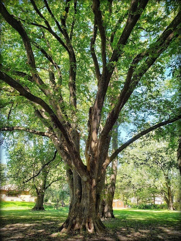 Totem Mound Park - Image 2