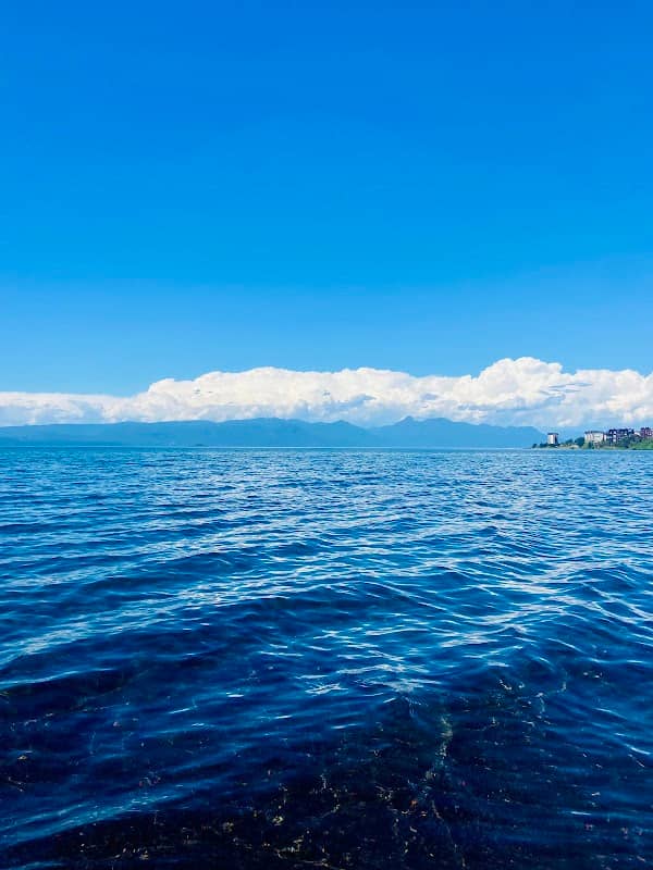 Lago Villarrica - Image 1