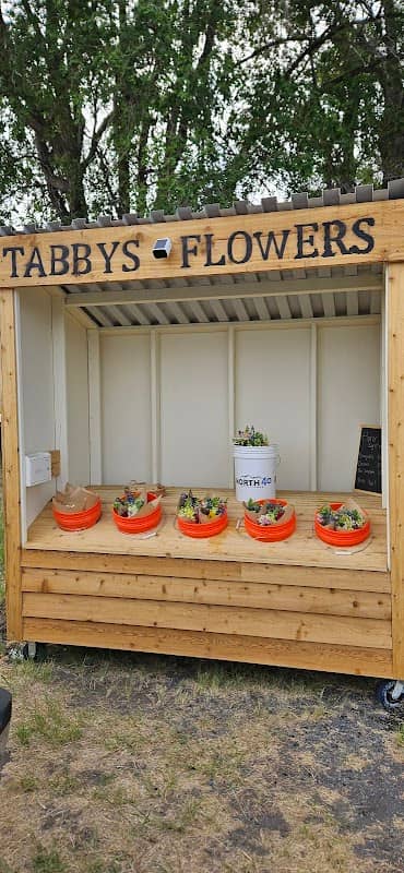 Tabbys flowers - Image 1