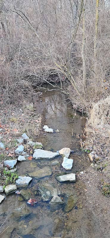 Dove Run - Image 1