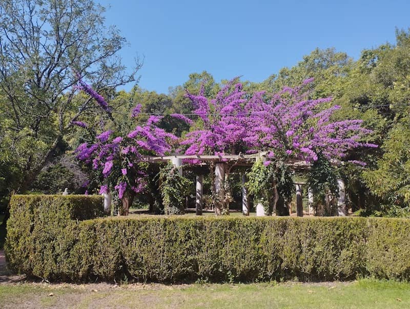 Homenagem a António Montez - Image 2