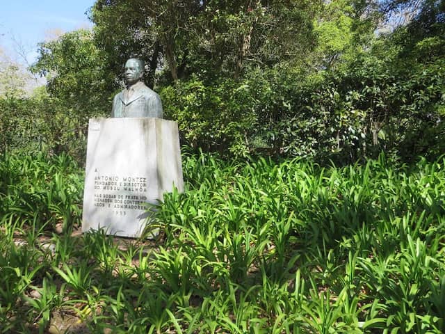 Homenagem a António Montez - Image 1