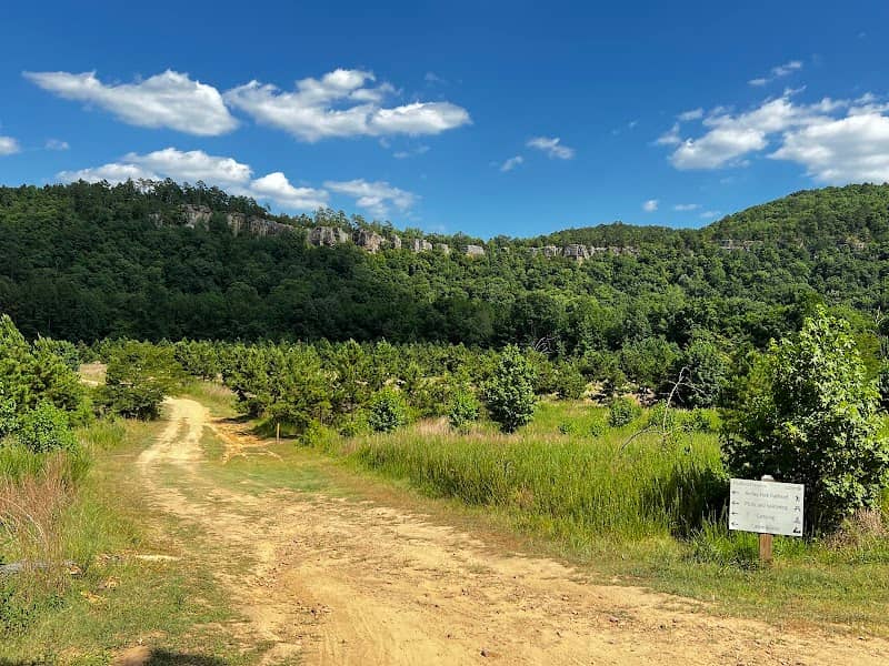 Bluffton Preserve on the Archey Fork - Image 2