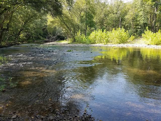 Bluffton Preserve on the Archey Fork - Image 1