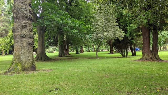 Bothwell Rd Park - Image 2