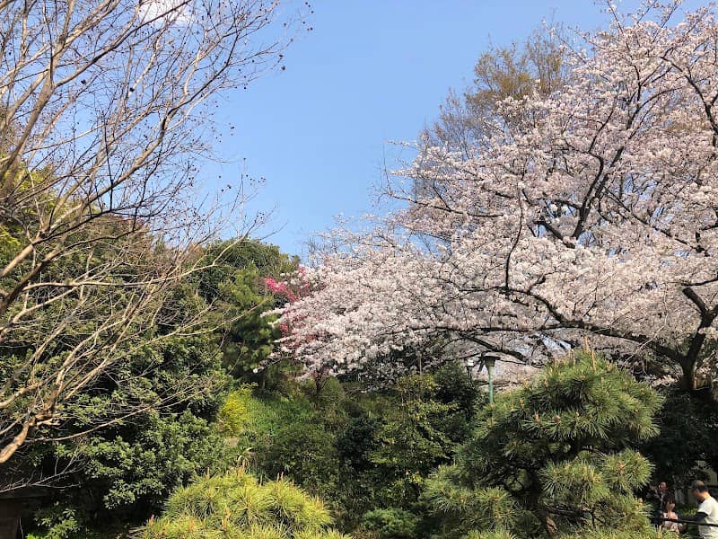 Saigōyama Park - Image 1