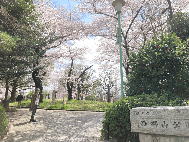 Saigōyama Park - Image 2