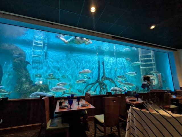 Swim with our Fish - Image 1