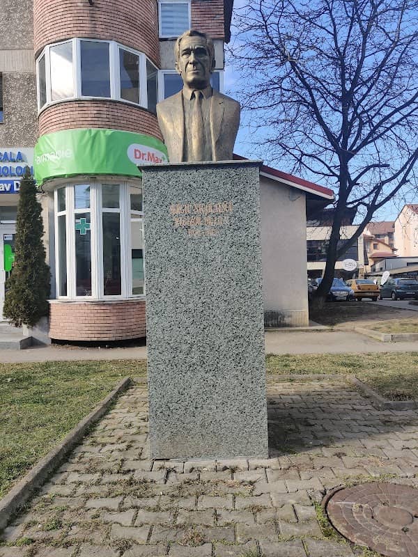 Bustul lui Sergiu Nicolaescu - Image 1