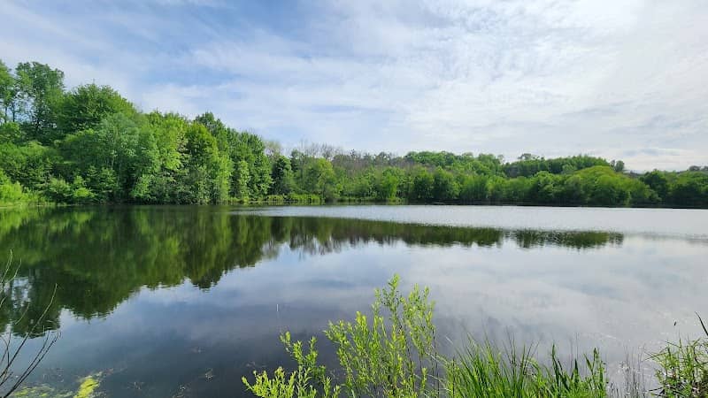 3 Ponds Park - Image 1