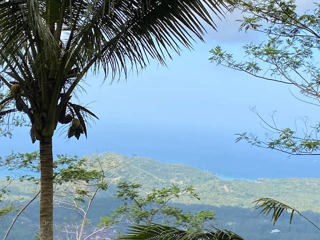 Bukit Abah Hill - Image 1