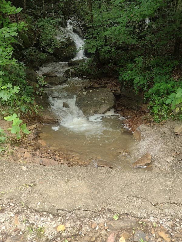 Falls on Buffalo - Image 1