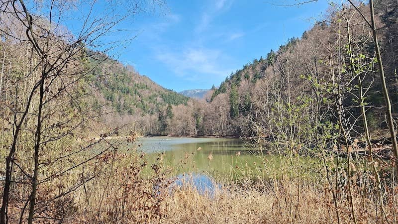 Blick auf den Hohenburger Weiher - Image 1