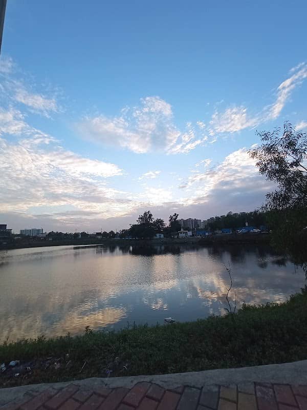Lotus Shiva lake sg - Image 2