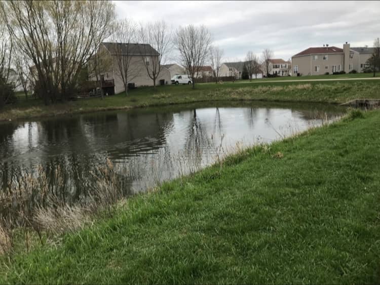 Shepherd's Crossing Fish Zone - Image 1