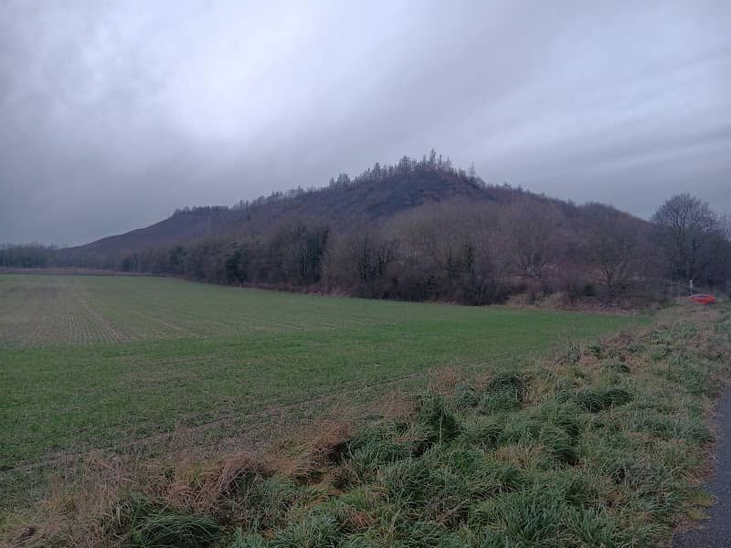 Terril 58a - Image 3