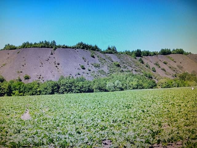 Terril 58a - Image 2