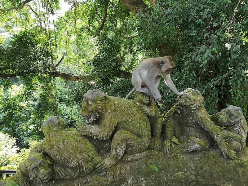 Sacred Monkey Forest Sanctuary - Image 3