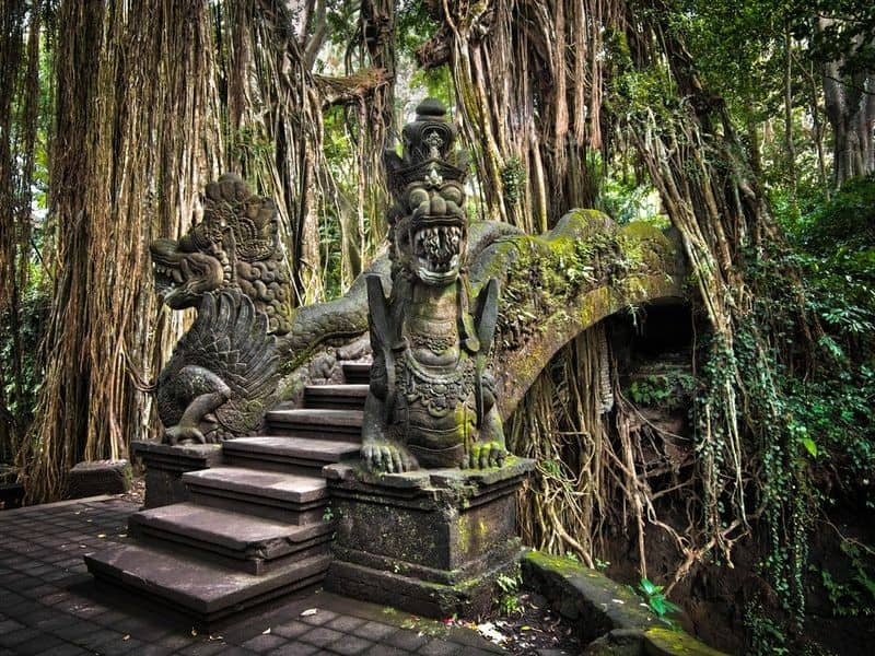 Sacred Monkey Forest Sanctuary - Image 1