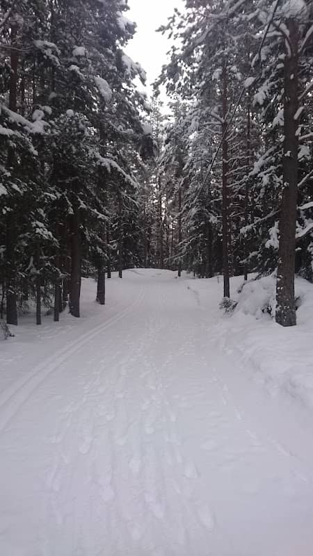 St. Hansfjellet - Image 2