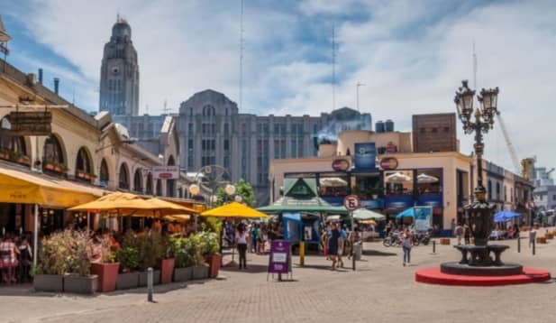 Port Market - Image 2