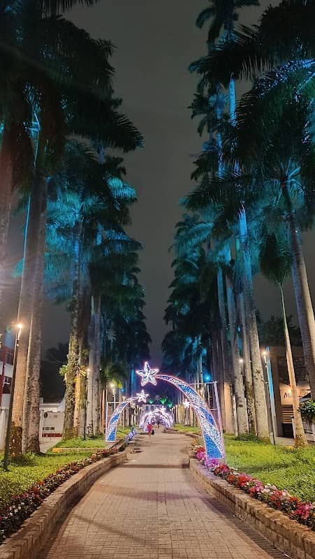 Rua das Palmeiras - Image 3